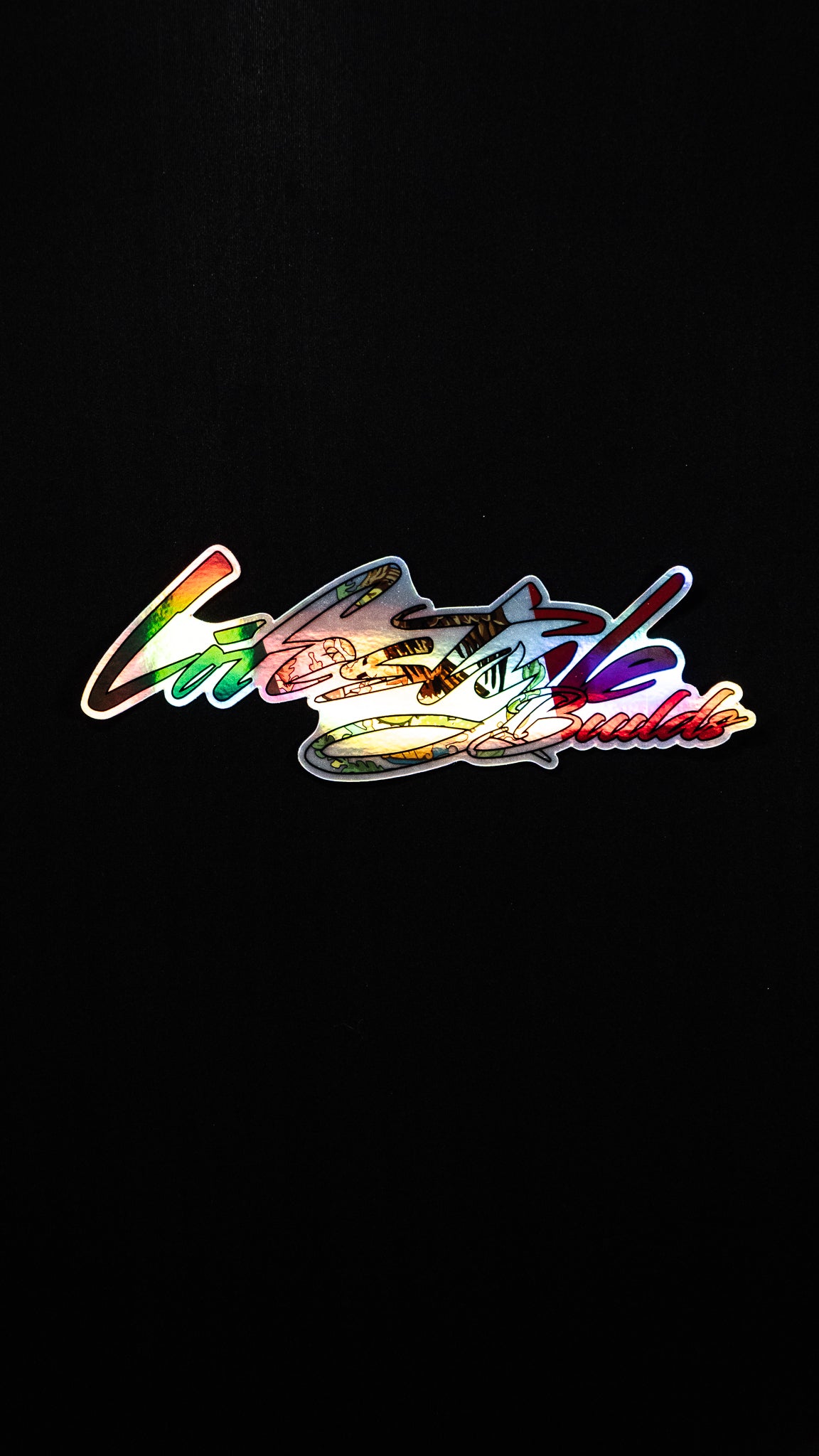 Holographic Lifestyle